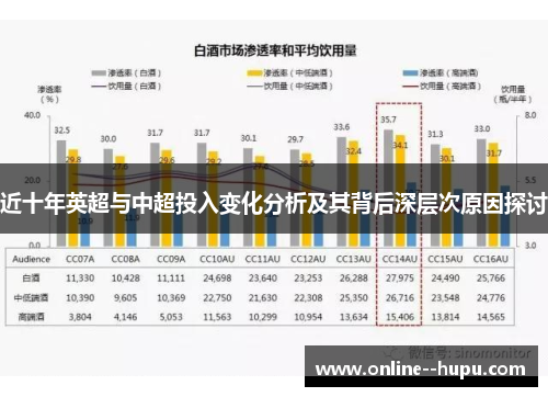 近十年英超与中超投入变化分析及其背后深层次原因探讨 近十年英超与中超投入变化分析及其背后深层次原因探讨
